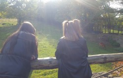 w_zoo