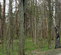 330369714_2372397326255805_7856063193978700062_n