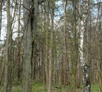 338155116_1167690593884971_3142345800454829503_n