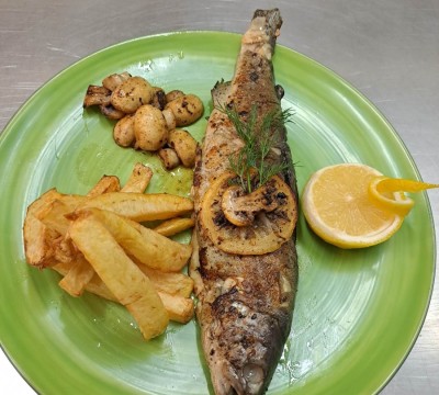 319001346_690370555808495_6258129611574456081_n