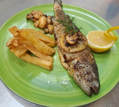 319506057_2446444465511473_4472053645496446471_n