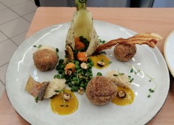 IMG_20230126_105603_resized_20230126_030331950