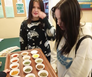 b17ed25e-c8a9-4160-9590-72f41b2af7f4