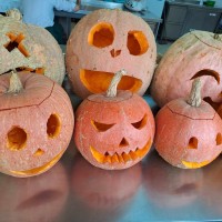 received_7400083233336363