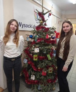 404600243_334026832932788_8853478265860898120_n