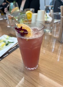 423105536_387180953922558_6313253870774239431_n