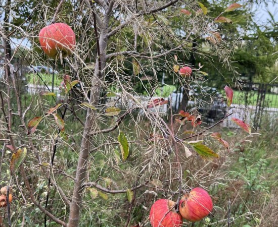 00ccd5c1-d518-48d3-8db5-80402cf07cb0