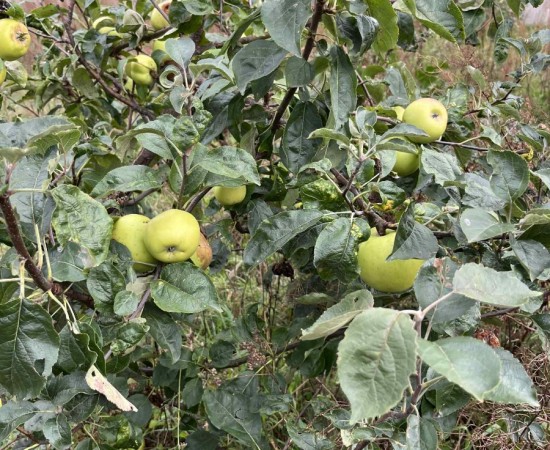 1be87d9f-43b9-4276-adb4-6647c250913b