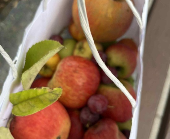 3c4912cc-9a8c-468e-9dc6-783204aa3e63