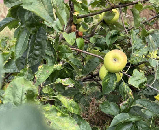 991ae6c8-cb54-4df3-80f3-707ab27313ad