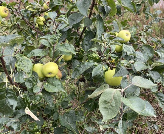 9c467548-5384-4254-9fc5-c3dc88a40fdf