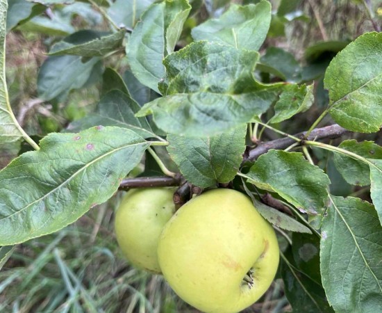 ae7f1f4b-185f-4a13-af54-2f3fdddee128