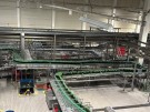 IMG_6392