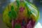 d6d5d8c7-1264-4dc9-ae38-38646e073e12