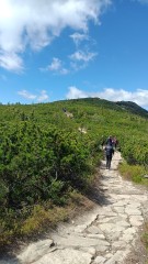 IMG20260528104748