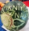 pn26