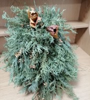 IMG_20221207_085032_resized_20221208_071539246