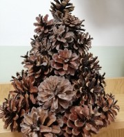 IMG_20221207_085036_resized_20221208_071542187