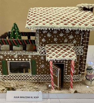 Julia Walczak kl. 3ckp