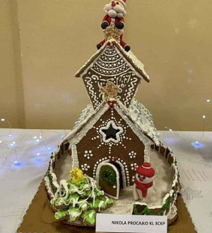 Nikola Procajło kl 3ckp