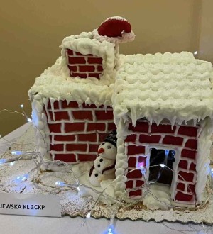 Hanna Majewska kl. 3ckp