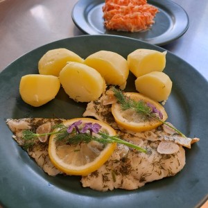 pieczony filet dorsza marynowany w zalewie z czarnego bzu 