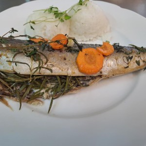 pieczona w rozmarynie makrela