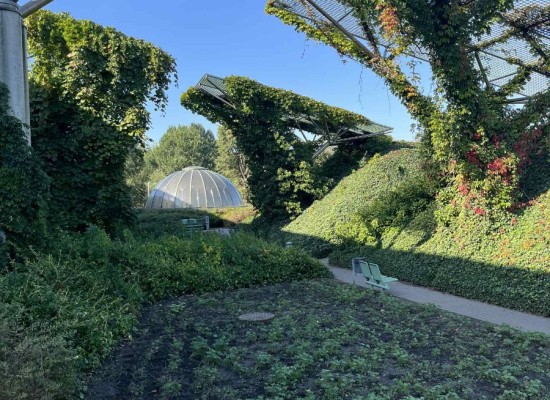 0b70594b-a8f3-472b-a534-d0b1acd368a9