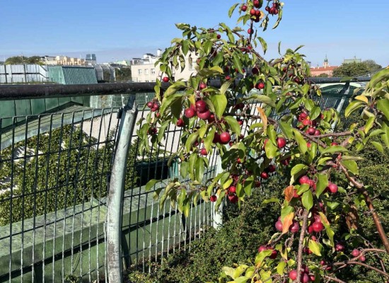 1a1ce7ac-04a8-4806-974b-1cb9f182d953