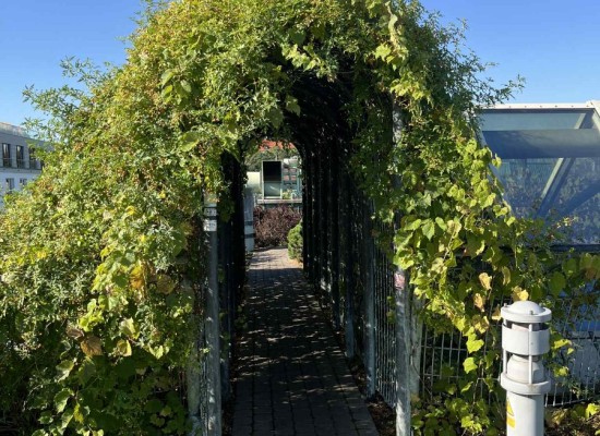 48ef7815-5077-492b-ad55-746fe7005f2c