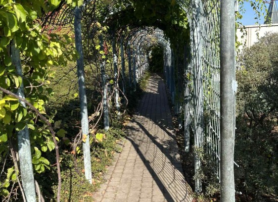 4d31e1b5-120e-488f-894a-caaae12307ed