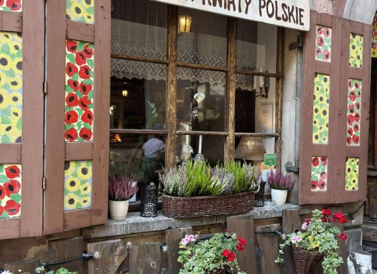 550876135_3943702375940123_2615466307989254838_n