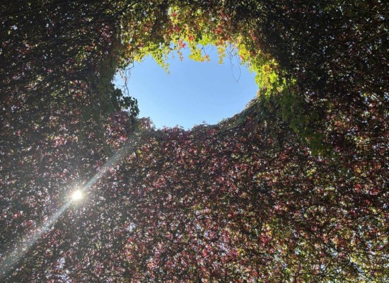 550913433_1304681341130661_372374748296177528_n