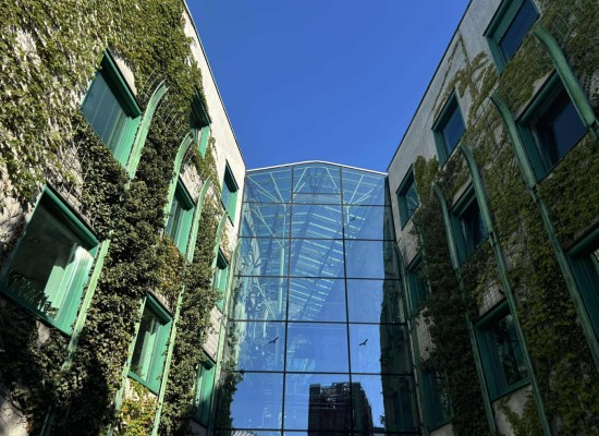 551231500_775907891727887_8560137329283149495_n