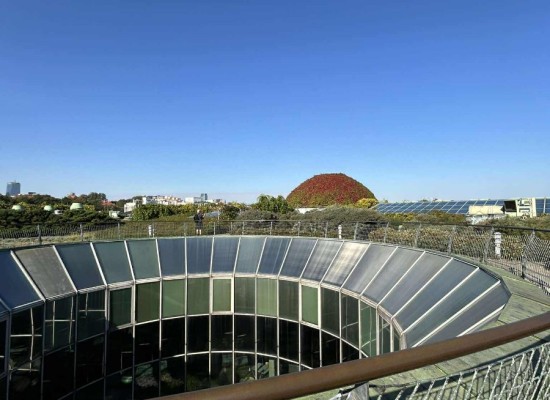 552158954_4249719855308865_5601939247189206270_n