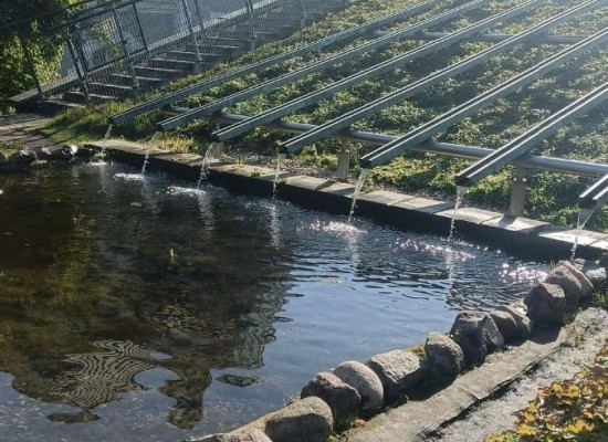 553442858_663949366300396_6057943458996889272_n