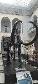 0d34f668-9ed4-48b5-987a-59452b996eb0