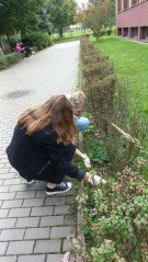 8554cd39-5d33-44bf-8daf-0d4a8af2d470