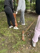 af09ad77-cf2e-41ef-932d-532c82de2ddc