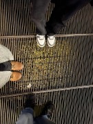 510e81d5-d5fc-4e15-95d9-d96fafe48987