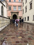 557074263_1741523183227968_5255005762934685373_n