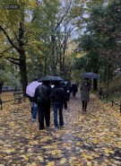 7ec9ac55-2284-4b8e-859b-e37a077111ce